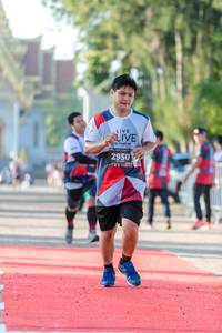 BIB: 2950
                            <button type="button" onclick="openModal(6559971)" class="btn btn-primary btn-sm float-right btn-popup" data-toggle="modal" data-target=".modal-high-quality">
                        <i class="fas fa-shopping-cart"></i> Add to Cart
                    </button>
                                            <button type="button" onclick="isThisMe(6559971, true)" class="btn btn-success btn-sm float-right btn-popup btn-isme hidden" data-toggle="tooltip" data-placement="bottom" title="นี่คือรูปของคุณใช่ไหม คลิกที่นี่เพื่อเอาเข้าอัลบั้ม">
                        <i class="fas fa-plus"></i> Add to album
                    </button>
                    <button type="button" onclick="isThisMe(6559971, false)" class="btn btn-warning btn-sm float-right btn-popup btn-isnotme hidden">
                        <i class="fas fa-ban"></i> Remove from album
                    </button>