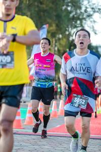 BIB: 709, 3052
                            <button type="button" onclick="openModal(6548200)" class="btn btn-primary btn-sm float-right btn-popup" data-toggle="modal" data-target=".modal-high-quality">
                        <i class="fas fa-shopping-cart"></i> Add to Cart
                    </button>
                                            <button type="button" onclick="isThisMe(6548200, true)" class="btn btn-success btn-sm float-right btn-popup btn-isme hidden" data-toggle="tooltip" data-placement="bottom" title="นี่คือรูปของคุณใช่ไหม คลิกที่นี่เพื่อเอาเข้าอัลบั้ม">
                        <i class="fas fa-plus"></i> Add to album
                    </button>
                    <button type="button" onclick="isThisMe(6548200, false)" class="btn btn-warning btn-sm float-right btn-popup btn-isnotme hidden">
                        <i class="fas fa-ban"></i> Remove from album
                    </button>