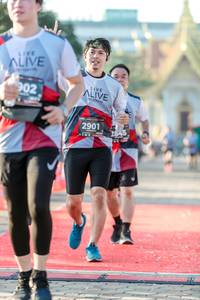 BIB: 902, 2901
                            <button type="button" onclick="openModal(6556923)" class="btn btn-primary btn-sm float-right btn-popup" data-toggle="modal" data-target=".modal-high-quality">
                        <i class="fas fa-shopping-cart"></i> Add to Cart
                    </button>
                                            <button type="button" onclick="isThisMe(6556923, true)" class="btn btn-success btn-sm float-right btn-popup btn-isme hidden" data-toggle="tooltip" data-placement="bottom" title="นี่คือรูปของคุณใช่ไหม คลิกที่นี่เพื่อเอาเข้าอัลบั้ม">
                        <i class="fas fa-plus"></i> Add to album
                    </button>
                    <button type="button" onclick="isThisMe(6556923, false)" class="btn btn-warning btn-sm float-right btn-popup btn-isnotme hidden">
                        <i class="fas fa-ban"></i> Remove from album
                    </button>