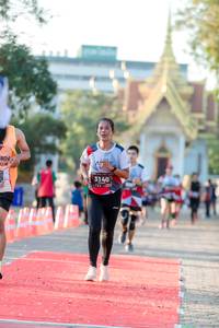 BIB: 3140
                            <button type="button" onclick="openModal(6547982)" class="btn btn-primary btn-sm float-right btn-popup" data-toggle="modal" data-target=".modal-high-quality">
                        <i class="fas fa-shopping-cart"></i> Add to Cart
                    </button>
                                            <button type="button" onclick="isThisMe(6547982, true)" class="btn btn-success btn-sm float-right btn-popup btn-isme hidden" data-toggle="tooltip" data-placement="bottom" title="นี่คือรูปของคุณใช่ไหม คลิกที่นี่เพื่อเอาเข้าอัลบั้ม">
                        <i class="fas fa-plus"></i> Add to album
                    </button>
                    <button type="button" onclick="isThisMe(6547982, false)" class="btn btn-warning btn-sm float-right btn-popup btn-isnotme hidden">
                        <i class="fas fa-ban"></i> Remove from album
                    </button>