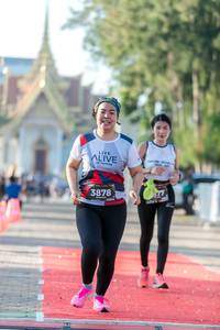 BIB: 3878
                            <button type="button" onclick="openModal(6559182)" class="btn btn-primary btn-sm float-right btn-popup" data-toggle="modal" data-target=".modal-high-quality">
                        <i class="fas fa-shopping-cart"></i> Add to Cart
                    </button>
                                            <button type="button" onclick="isThisMe(6559182, true)" class="btn btn-success btn-sm float-right btn-popup btn-isme hidden" data-toggle="tooltip" data-placement="bottom" title="นี่คือรูปของคุณใช่ไหม คลิกที่นี่เพื่อเอาเข้าอัลบั้ม">
                        <i class="fas fa-plus"></i> Add to album
                    </button>
                    <button type="button" onclick="isThisMe(6559182, false)" class="btn btn-warning btn-sm float-right btn-popup btn-isnotme hidden">
                        <i class="fas fa-ban"></i> Remove from album
                    </button>