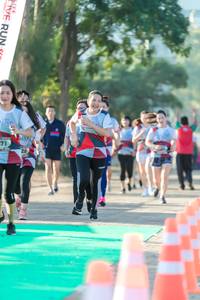 BIB: 
                            <button type="button" onclick="openModal(6560862)" class="btn btn-primary btn-sm float-right btn-popup" data-toggle="modal" data-target=".modal-high-quality">
                        <i class="fas fa-shopping-cart"></i> Add to Cart
                    </button>
                                            <button type="button" onclick="isThisMe(6560862, true)" class="btn btn-success btn-sm float-right btn-popup btn-isme hidden" data-toggle="tooltip" data-placement="bottom" title="นี่คือรูปของคุณใช่ไหม คลิกที่นี่เพื่อเอาเข้าอัลบั้ม">
                        <i class="fas fa-plus"></i> Add to album
                    </button>
                    <button type="button" onclick="isThisMe(6560862, false)" class="btn btn-warning btn-sm float-right btn-popup btn-isnotme hidden">
                        <i class="fas fa-ban"></i> Remove from album
                    </button>