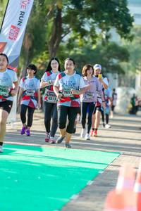 BIB: 7517, 560, 7988, 746, 6213, 2019
                            <button type="button" onclick="openModal(6563166)" class="btn btn-primary btn-sm float-right btn-popup" data-toggle="modal" data-target=".modal-high-quality">
                        <i class="fas fa-shopping-cart"></i> Add to Cart
                    </button>
                                            <button type="button" onclick="isThisMe(6563166, true)" class="btn btn-success btn-sm float-right btn-popup btn-isme hidden" data-toggle="tooltip" data-placement="bottom" title="นี่คือรูปของคุณใช่ไหม คลิกที่นี่เพื่อเอาเข้าอัลบั้ม">
                        <i class="fas fa-plus"></i> Add to album
                    </button>
                    <button type="button" onclick="isThisMe(6563166, false)" class="btn btn-warning btn-sm float-right btn-popup btn-isnotme hidden">
                        <i class="fas fa-ban"></i> Remove from album
                    </button>