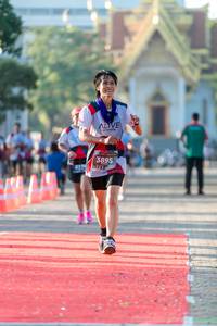 BIB: 3895
                            <button type="button" onclick="openModal(6557450)" class="btn btn-primary btn-sm float-right btn-popup" data-toggle="modal" data-target=".modal-high-quality">
                        <i class="fas fa-shopping-cart"></i> Add to Cart
                    </button>
                                            <button type="button" onclick="isThisMe(6557450, true)" class="btn btn-success btn-sm float-right btn-popup btn-isme hidden" data-toggle="tooltip" data-placement="bottom" title="นี่คือรูปของคุณใช่ไหม คลิกที่นี่เพื่อเอาเข้าอัลบั้ม">
                        <i class="fas fa-plus"></i> Add to album
                    </button>
                    <button type="button" onclick="isThisMe(6557450, false)" class="btn btn-warning btn-sm float-right btn-popup btn-isnotme hidden">
                        <i class="fas fa-ban"></i> Remove from album
                    </button>