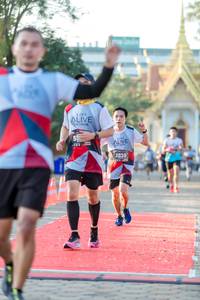 BIB: 2830
                            <button type="button" onclick="openModal(6547017)" class="btn btn-primary btn-sm float-right btn-popup" data-toggle="modal" data-target=".modal-high-quality">
                        <i class="fas fa-shopping-cart"></i> Add to Cart
                    </button>
                                            <button type="button" onclick="isThisMe(6547017, true)" class="btn btn-success btn-sm float-right btn-popup btn-isme hidden" data-toggle="tooltip" data-placement="bottom" title="นี่คือรูปของคุณใช่ไหม คลิกที่นี่เพื่อเอาเข้าอัลบั้ม">
                        <i class="fas fa-plus"></i> Add to album
                    </button>
                    <button type="button" onclick="isThisMe(6547017, false)" class="btn btn-warning btn-sm float-right btn-popup btn-isnotme hidden">
                        <i class="fas fa-ban"></i> Remove from album
                    </button>