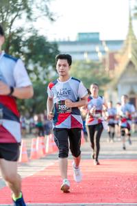 BIB: 260
                            <button type="button" onclick="openModal(6555176)" class="btn btn-primary btn-sm float-right btn-popup" data-toggle="modal" data-target=".modal-high-quality">
                        <i class="fas fa-shopping-cart"></i> Add to Cart
                    </button>
                                            <button type="button" onclick="isThisMe(6555176, true)" class="btn btn-success btn-sm float-right btn-popup btn-isme hidden" data-toggle="tooltip" data-placement="bottom" title="นี่คือรูปของคุณใช่ไหม คลิกที่นี่เพื่อเอาเข้าอัลบั้ม">
                        <i class="fas fa-plus"></i> Add to album
                    </button>
                    <button type="button" onclick="isThisMe(6555176, false)" class="btn btn-warning btn-sm float-right btn-popup btn-isnotme hidden">
                        <i class="fas fa-ban"></i> Remove from album
                    </button>