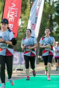 BIB: 7302
                            <button type="button" onclick="openModal(6558730)" class="btn btn-primary btn-sm float-right btn-popup" data-toggle="modal" data-target=".modal-high-quality">
                        <i class="fas fa-shopping-cart"></i> Add to Cart
                    </button>
                                            <button type="button" onclick="isThisMe(6558730, true)" class="btn btn-success btn-sm float-right btn-popup btn-isme hidden" data-toggle="tooltip" data-placement="bottom" title="นี่คือรูปของคุณใช่ไหม คลิกที่นี่เพื่อเอาเข้าอัลบั้ม">
                        <i class="fas fa-plus"></i> Add to album
                    </button>
                    <button type="button" onclick="isThisMe(6558730, false)" class="btn btn-warning btn-sm float-right btn-popup btn-isnotme hidden">
                        <i class="fas fa-ban"></i> Remove from album
                    </button>