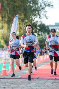 BIB: 2953, 2624
                            <button type="button" onclick="openModal(6552111)" class="btn btn-primary btn-sm float-right btn-popup" data-toggle="modal" data-target=".modal-high-quality">
                        <i class="fas fa-shopping-cart"></i> Add to Cart
                    </button>
                                            <button type="button" onclick="isThisMe(6552111, true)" class="btn btn-success btn-sm float-right btn-popup btn-isme hidden" data-toggle="tooltip" data-placement="bottom" title="นี่คือรูปของคุณใช่ไหม คลิกที่นี่เพื่อเอาเข้าอัลบั้ม">
                        <i class="fas fa-plus"></i> Add to album
                    </button>
                    <button type="button" onclick="isThisMe(6552111, false)" class="btn btn-warning btn-sm float-right btn-popup btn-isnotme hidden">
                        <i class="fas fa-ban"></i> Remove from album
                    </button>