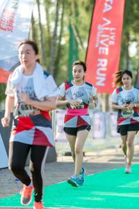 BIB: 651, 2019
                            <button type="button" onclick="openModal(6560006)" class="btn btn-primary btn-sm float-right btn-popup" data-toggle="modal" data-target=".modal-high-quality">
                        <i class="fas fa-shopping-cart"></i> Add to Cart
                    </button>
                                            <button type="button" onclick="isThisMe(6560006, true)" class="btn btn-success btn-sm float-right btn-popup btn-isme hidden" data-toggle="tooltip" data-placement="bottom" title="นี่คือรูปของคุณใช่ไหม คลิกที่นี่เพื่อเอาเข้าอัลบั้ม">
                        <i class="fas fa-plus"></i> Add to album
                    </button>
                    <button type="button" onclick="isThisMe(6560006, false)" class="btn btn-warning btn-sm float-right btn-popup btn-isnotme hidden">
                        <i class="fas fa-ban"></i> Remove from album
                    </button>