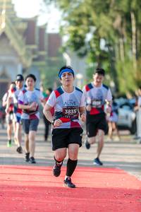 BIB: 3835
                            <button type="button" onclick="openModal(6558232)" class="btn btn-primary btn-sm float-right btn-popup" data-toggle="modal" data-target=".modal-high-quality">
                        <i class="fas fa-shopping-cart"></i> Add to Cart
                    </button>
                                            <button type="button" onclick="isThisMe(6558232, true)" class="btn btn-success btn-sm float-right btn-popup btn-isme hidden" data-toggle="tooltip" data-placement="bottom" title="นี่คือรูปของคุณใช่ไหม คลิกที่นี่เพื่อเอาเข้าอัลบั้ม">
                        <i class="fas fa-plus"></i> Add to album
                    </button>
                    <button type="button" onclick="isThisMe(6558232, false)" class="btn btn-warning btn-sm float-right btn-popup btn-isnotme hidden">
                        <i class="fas fa-ban"></i> Remove from album
                    </button>