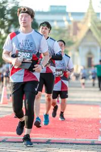 BIB: 2902, 2845
                            <button type="button" onclick="openModal(6556918)" class="btn btn-primary btn-sm float-right btn-popup" data-toggle="modal" data-target=".modal-high-quality">
                        <i class="fas fa-shopping-cart"></i> Add to Cart
                    </button>
                                            <button type="button" onclick="isThisMe(6556918, true)" class="btn btn-success btn-sm float-right btn-popup btn-isme hidden" data-toggle="tooltip" data-placement="bottom" title="นี่คือรูปของคุณใช่ไหม คลิกที่นี่เพื่อเอาเข้าอัลบั้ม">
                        <i class="fas fa-plus"></i> Add to album
                    </button>
                    <button type="button" onclick="isThisMe(6556918, false)" class="btn btn-warning btn-sm float-right btn-popup btn-isnotme hidden">
                        <i class="fas fa-ban"></i> Remove from album
                    </button>