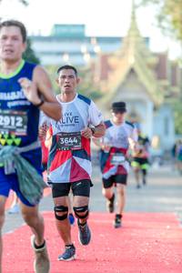 BIB: 2912, 3644
                            <button type="button" onclick="openModal(6546519)" class="btn btn-primary btn-sm float-right btn-popup" data-toggle="modal" data-target=".modal-high-quality">
                        <i class="fas fa-shopping-cart"></i> Add to Cart
                    </button>
                                            <button type="button" onclick="isThisMe(6546519, true)" class="btn btn-success btn-sm float-right btn-popup btn-isme hidden" data-toggle="tooltip" data-placement="bottom" title="นี่คือรูปของคุณใช่ไหม คลิกที่นี่เพื่อเอาเข้าอัลบั้ม">
                        <i class="fas fa-plus"></i> Add to album
                    </button>
                    <button type="button" onclick="isThisMe(6546519, false)" class="btn btn-warning btn-sm float-right btn-popup btn-isnotme hidden">
                        <i class="fas fa-ban"></i> Remove from album
                    </button>