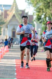 BIB: 3017, 3139
                            <button type="button" onclick="openModal(6559907)" class="btn btn-primary btn-sm float-right btn-popup" data-toggle="modal" data-target=".modal-high-quality">
                        <i class="fas fa-shopping-cart"></i> Add to Cart
                    </button>
                                            <button type="button" onclick="isThisMe(6559907, true)" class="btn btn-success btn-sm float-right btn-popup btn-isme hidden" data-toggle="tooltip" data-placement="bottom" title="นี่คือรูปของคุณใช่ไหม คลิกที่นี่เพื่อเอาเข้าอัลบั้ม">
                        <i class="fas fa-plus"></i> Add to album
                    </button>
                    <button type="button" onclick="isThisMe(6559907, false)" class="btn btn-warning btn-sm float-right btn-popup btn-isnotme hidden">
                        <i class="fas fa-ban"></i> Remove from album
                    </button>