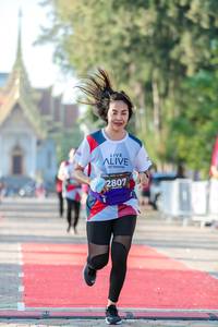 BIB: 2807
                            <button type="button" onclick="openModal(6559676)" class="btn btn-primary btn-sm float-right btn-popup" data-toggle="modal" data-target=".modal-high-quality">
                        <i class="fas fa-shopping-cart"></i> Add to Cart
                    </button>
                                            <button type="button" onclick="isThisMe(6559676, true)" class="btn btn-success btn-sm float-right btn-popup btn-isme hidden" data-toggle="tooltip" data-placement="bottom" title="นี่คือรูปของคุณใช่ไหม คลิกที่นี่เพื่อเอาเข้าอัลบั้ม">
                        <i class="fas fa-plus"></i> Add to album
                    </button>
                    <button type="button" onclick="isThisMe(6559676, false)" class="btn btn-warning btn-sm float-right btn-popup btn-isnotme hidden">
                        <i class="fas fa-ban"></i> Remove from album
                    </button>