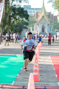 BIB: 6277
                            <button type="button" onclick="openModal(6560786)" class="btn btn-primary btn-sm float-right btn-popup" data-toggle="modal" data-target=".modal-high-quality">
                        <i class="fas fa-shopping-cart"></i> Add to Cart
                    </button>
                                            <button type="button" onclick="isThisMe(6560786, true)" class="btn btn-success btn-sm float-right btn-popup btn-isme hidden" data-toggle="tooltip" data-placement="bottom" title="นี่คือรูปของคุณใช่ไหม คลิกที่นี่เพื่อเอาเข้าอัลบั้ม">
                        <i class="fas fa-plus"></i> Add to album
                    </button>
                    <button type="button" onclick="isThisMe(6560786, false)" class="btn btn-warning btn-sm float-right btn-popup btn-isnotme hidden">
                        <i class="fas fa-ban"></i> Remove from album
                    </button>