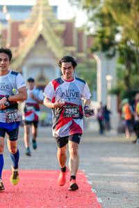 BIB: 2962, 2199
                            <button type="button" onclick="openModal(6544770)" class="btn btn-primary btn-sm float-right btn-popup" data-toggle="modal" data-target=".modal-high-quality">
                        <i class="fas fa-shopping-cart"></i> Add to Cart
                    </button>
                                            <button type="button" onclick="isThisMe(6544770, true)" class="btn btn-success btn-sm float-right btn-popup btn-isme hidden" data-toggle="tooltip" data-placement="bottom" title="นี่คือรูปของคุณใช่ไหม คลิกที่นี่เพื่อเอาเข้าอัลบั้ม">
                        <i class="fas fa-plus"></i> Add to album
                    </button>
                    <button type="button" onclick="isThisMe(6544770, false)" class="btn btn-warning btn-sm float-right btn-popup btn-isnotme hidden">
                        <i class="fas fa-ban"></i> Remove from album
                    </button>