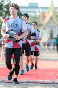 BIB: 2902, 845
                            <button type="button" onclick="openModal(6556919)" class="btn btn-primary btn-sm float-right btn-popup" data-toggle="modal" data-target=".modal-high-quality">
                        <i class="fas fa-shopping-cart"></i> Add to Cart
                    </button>
                                            <button type="button" onclick="isThisMe(6556919, true)" class="btn btn-success btn-sm float-right btn-popup btn-isme hidden" data-toggle="tooltip" data-placement="bottom" title="นี่คือรูปของคุณใช่ไหม คลิกที่นี่เพื่อเอาเข้าอัลบั้ม">
                        <i class="fas fa-plus"></i> Add to album
                    </button>
                    <button type="button" onclick="isThisMe(6556919, false)" class="btn btn-warning btn-sm float-right btn-popup btn-isnotme hidden">
                        <i class="fas fa-ban"></i> Remove from album
                    </button>