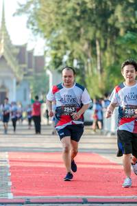 BIB: 2943, 285
                            <button type="button" onclick="openModal(6558954)" class="btn btn-primary btn-sm float-right btn-popup" data-toggle="modal" data-target=".modal-high-quality">
                        <i class="fas fa-shopping-cart"></i> Add to Cart
                    </button>
                                            <button type="button" onclick="isThisMe(6558954, true)" class="btn btn-success btn-sm float-right btn-popup btn-isme hidden" data-toggle="tooltip" data-placement="bottom" title="นี่คือรูปของคุณใช่ไหม คลิกที่นี่เพื่อเอาเข้าอัลบั้ม">
                        <i class="fas fa-plus"></i> Add to album
                    </button>
                    <button type="button" onclick="isThisMe(6558954, false)" class="btn btn-warning btn-sm float-right btn-popup btn-isnotme hidden">
                        <i class="fas fa-ban"></i> Remove from album
                    </button>