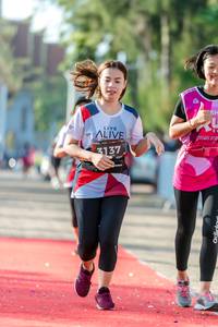 BIB: 3137
                            <button type="button" onclick="openModal(6563490)" class="btn btn-primary btn-sm float-right btn-popup" data-toggle="modal" data-target=".modal-high-quality">
                        <i class="fas fa-shopping-cart"></i> Add to Cart
                    </button>
                                            <button type="button" onclick="isThisMe(6563490, true)" class="btn btn-success btn-sm float-right btn-popup btn-isme hidden" data-toggle="tooltip" data-placement="bottom" title="นี่คือรูปของคุณใช่ไหม คลิกที่นี่เพื่อเอาเข้าอัลบั้ม">
                        <i class="fas fa-plus"></i> Add to album
                    </button>
                    <button type="button" onclick="isThisMe(6563490, false)" class="btn btn-warning btn-sm float-right btn-popup btn-isnotme hidden">
                        <i class="fas fa-ban"></i> Remove from album
                    </button>