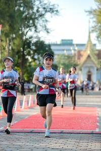 BIB: 3077
                            <button type="button" onclick="openModal(6555085)" class="btn btn-primary btn-sm float-right btn-popup" data-toggle="modal" data-target=".modal-high-quality">
                        <i class="fas fa-shopping-cart"></i> Add to Cart
                    </button>
                                            <button type="button" onclick="isThisMe(6555085, true)" class="btn btn-success btn-sm float-right btn-popup btn-isme hidden" data-toggle="tooltip" data-placement="bottom" title="นี่คือรูปของคุณใช่ไหม คลิกที่นี่เพื่อเอาเข้าอัลบั้ม">
                        <i class="fas fa-plus"></i> Add to album
                    </button>
                    <button type="button" onclick="isThisMe(6555085, false)" class="btn btn-warning btn-sm float-right btn-popup btn-isnotme hidden">
                        <i class="fas fa-ban"></i> Remove from album
                    </button>