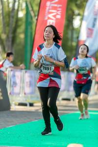 BIB: 
                            <button type="button" onclick="openModal(6558363)" class="btn btn-primary btn-sm float-right btn-popup" data-toggle="modal" data-target=".modal-high-quality">
                        <i class="fas fa-shopping-cart"></i> Add to Cart
                    </button>
                                            <button type="button" onclick="isThisMe(6558363, true)" class="btn btn-success btn-sm float-right btn-popup btn-isme hidden" data-toggle="tooltip" data-placement="bottom" title="นี่คือรูปของคุณใช่ไหม คลิกที่นี่เพื่อเอาเข้าอัลบั้ม">
                        <i class="fas fa-plus"></i> Add to album
                    </button>
                    <button type="button" onclick="isThisMe(6558363, false)" class="btn btn-warning btn-sm float-right btn-popup btn-isnotme hidden">
                        <i class="fas fa-ban"></i> Remove from album
                    </button>