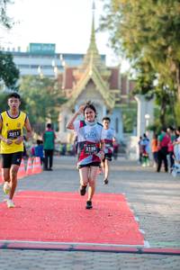 BIB: 2811, 2198
                            <button type="button" onclick="openModal(6545707)" class="btn btn-primary btn-sm float-right btn-popup" data-toggle="modal" data-target=".modal-high-quality">
                        <i class="fas fa-shopping-cart"></i> Add to Cart
                    </button>
                                            <button type="button" onclick="isThisMe(6545707, true)" class="btn btn-success btn-sm float-right btn-popup btn-isme hidden" data-toggle="tooltip" data-placement="bottom" title="นี่คือรูปของคุณใช่ไหม คลิกที่นี่เพื่อเอาเข้าอัลบั้ม">
                        <i class="fas fa-plus"></i> Add to album
                    </button>
                    <button type="button" onclick="isThisMe(6545707, false)" class="btn btn-warning btn-sm float-right btn-popup btn-isnotme hidden">
                        <i class="fas fa-ban"></i> Remove from album
                    </button>