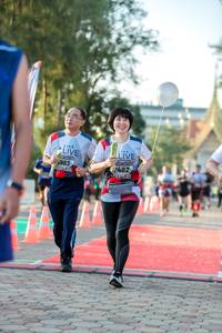 BIB: 983, 2482
                            <button type="button" onclick="openModal(6551550)" class="btn btn-primary btn-sm float-right btn-popup" data-toggle="modal" data-target=".modal-high-quality">
                        <i class="fas fa-shopping-cart"></i> Add to Cart
                    </button>
                                            <button type="button" onclick="isThisMe(6551550, true)" class="btn btn-success btn-sm float-right btn-popup btn-isme hidden" data-toggle="tooltip" data-placement="bottom" title="นี่คือรูปของคุณใช่ไหม คลิกที่นี่เพื่อเอาเข้าอัลบั้ม">
                        <i class="fas fa-plus"></i> Add to album
                    </button>
                    <button type="button" onclick="isThisMe(6551550, false)" class="btn btn-warning btn-sm float-right btn-popup btn-isnotme hidden">
                        <i class="fas fa-ban"></i> Remove from album
                    </button>