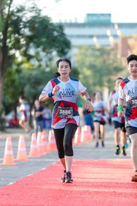 BIB: 3886
                            <button type="button" onclick="openModal(6549863)" class="btn btn-primary btn-sm float-right btn-popup" data-toggle="modal" data-target=".modal-high-quality">
                        <i class="fas fa-shopping-cart"></i> Add to Cart
                    </button>
                                            <button type="button" onclick="isThisMe(6549863, true)" class="btn btn-success btn-sm float-right btn-popup btn-isme hidden" data-toggle="tooltip" data-placement="bottom" title="นี่คือรูปของคุณใช่ไหม คลิกที่นี่เพื่อเอาเข้าอัลบั้ม">
                        <i class="fas fa-plus"></i> Add to album
                    </button>
                    <button type="button" onclick="isThisMe(6549863, false)" class="btn btn-warning btn-sm float-right btn-popup btn-isnotme hidden">
                        <i class="fas fa-ban"></i> Remove from album
                    </button>