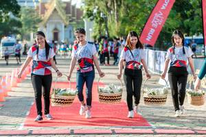 BIB: 
                            <button type="button" onclick="openModal(6563847)" class="btn btn-primary btn-sm float-right btn-popup" data-toggle="modal" data-target=".modal-high-quality">
                        <i class="fas fa-shopping-cart"></i> Add to Cart
                    </button>
                                            <button type="button" onclick="isThisMe(6563847, true)" class="btn btn-success btn-sm float-right btn-popup btn-isme hidden" data-toggle="tooltip" data-placement="bottom" title="นี่คือรูปของคุณใช่ไหม คลิกที่นี่เพื่อเอาเข้าอัลบั้ม">
                        <i class="fas fa-plus"></i> Add to album
                    </button>
                    <button type="button" onclick="isThisMe(6563847, false)" class="btn btn-warning btn-sm float-right btn-popup btn-isnotme hidden">
                        <i class="fas fa-ban"></i> Remove from album
                    </button>