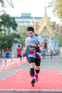 BIB: 2877, 123
                            <button type="button" onclick="openModal(6544500)" class="btn btn-primary btn-sm float-right btn-popup" data-toggle="modal" data-target=".modal-high-quality">
                        <i class="fas fa-shopping-cart"></i> Add to Cart
                    </button>
                                            <button type="button" onclick="isThisMe(6544500, true)" class="btn btn-success btn-sm float-right btn-popup btn-isme hidden" data-toggle="tooltip" data-placement="bottom" title="นี่คือรูปของคุณใช่ไหม คลิกที่นี่เพื่อเอาเข้าอัลบั้ม">
                        <i class="fas fa-plus"></i> Add to album
                    </button>
                    <button type="button" onclick="isThisMe(6544500, false)" class="btn btn-warning btn-sm float-right btn-popup btn-isnotme hidden">
                        <i class="fas fa-ban"></i> Remove from album
                    </button>