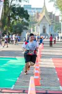 BIB: 6277
                            <button type="button" onclick="openModal(6560787)" class="btn btn-primary btn-sm float-right btn-popup" data-toggle="modal" data-target=".modal-high-quality">
                        <i class="fas fa-shopping-cart"></i> Add to Cart
                    </button>
                                            <button type="button" onclick="isThisMe(6560787, true)" class="btn btn-success btn-sm float-right btn-popup btn-isme hidden" data-toggle="tooltip" data-placement="bottom" title="นี่คือรูปของคุณใช่ไหม คลิกที่นี่เพื่อเอาเข้าอัลบั้ม">
                        <i class="fas fa-plus"></i> Add to album
                    </button>
                    <button type="button" onclick="isThisMe(6560787, false)" class="btn btn-warning btn-sm float-right btn-popup btn-isnotme hidden">
                        <i class="fas fa-ban"></i> Remove from album
                    </button>