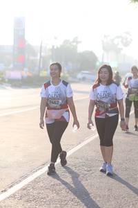 BIB: 7462, 461
                            <button type="button" onclick="openModal(6447582)" class="btn btn-primary btn-sm float-right btn-popup" data-toggle="modal" data-target=".modal-high-quality">
                        <i class="fas fa-shopping-cart"></i> Add to Cart
                    </button>
                                            <button type="button" onclick="isThisMe(6447582, true)" class="btn btn-success btn-sm float-right btn-popup btn-isme hidden" data-toggle="tooltip" data-placement="bottom" title="นี่คือรูปของคุณใช่ไหม คลิกที่นี่เพื่อเอาเข้าอัลบั้ม">
                        <i class="fas fa-plus"></i> Add to album
                    </button>
                    <button type="button" onclick="isThisMe(6447582, false)" class="btn btn-warning btn-sm float-right btn-popup btn-isnotme hidden">
                        <i class="fas fa-ban"></i> Remove from album
                    </button>