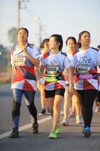 BIB: 6523, 6546, 6302
                            <button type="button" onclick="openModal(6394423)" class="btn btn-primary btn-sm float-right btn-popup" data-toggle="modal" data-target=".modal-high-quality">
                        <i class="fas fa-shopping-cart"></i> Add to Cart
                    </button>
                                            <button type="button" onclick="isThisMe(6394423, true)" class="btn btn-success btn-sm float-right btn-popup btn-isme hidden" data-toggle="tooltip" data-placement="bottom" title="นี่คือรูปของคุณใช่ไหม คลิกที่นี่เพื่อเอาเข้าอัลบั้ม">
                        <i class="fas fa-plus"></i> Add to album
                    </button>
                    <button type="button" onclick="isThisMe(6394423, false)" class="btn btn-warning btn-sm float-right btn-popup btn-isnotme hidden">
                        <i class="fas fa-ban"></i> Remove from album
                    </button>