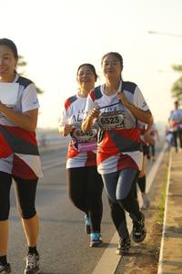 BIB: 6523, 6546
                            <button type="button" onclick="openModal(6411785)" class="btn btn-primary btn-sm float-right btn-popup" data-toggle="modal" data-target=".modal-high-quality">
                        <i class="fas fa-shopping-cart"></i> Add to Cart
                    </button>
                                            <button type="button" onclick="isThisMe(6411785, true)" class="btn btn-success btn-sm float-right btn-popup btn-isme hidden" data-toggle="tooltip" data-placement="bottom" title="นี่คือรูปของคุณใช่ไหม คลิกที่นี่เพื่อเอาเข้าอัลบั้ม">
                        <i class="fas fa-plus"></i> Add to album
                    </button>
                    <button type="button" onclick="isThisMe(6411785, false)" class="btn btn-warning btn-sm float-right btn-popup btn-isnotme hidden">
                        <i class="fas fa-ban"></i> Remove from album
                    </button>