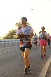 BIB: 
                            <button type="button" onclick="openModal(6512746)" class="btn btn-primary btn-sm float-right btn-popup" data-toggle="modal" data-target=".modal-high-quality">
                        <i class="fas fa-shopping-cart"></i> Add to Cart
                    </button>
                                            <button type="button" onclick="isThisMe(6512746, true)" class="btn btn-success btn-sm float-right btn-popup btn-isme hidden" data-toggle="tooltip" data-placement="bottom" title="นี่คือรูปของคุณใช่ไหม คลิกที่นี่เพื่อเอาเข้าอัลบั้ม">
                        <i class="fas fa-plus"></i> Add to album
                    </button>
                    <button type="button" onclick="isThisMe(6512746, false)" class="btn btn-warning btn-sm float-right btn-popup btn-isnotme hidden">
                        <i class="fas fa-ban"></i> Remove from album
                    </button>