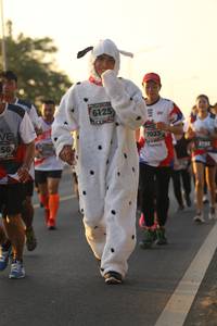 BIB: 6125, 7023, 2193
                            <button type="button" onclick="openModal(6512359)" class="btn btn-primary btn-sm float-right btn-popup" data-toggle="modal" data-target=".modal-high-quality">
                        <i class="fas fa-shopping-cart"></i> Add to Cart
                    </button>
                                            <button type="button" onclick="isThisMe(6512359, true)" class="btn btn-success btn-sm float-right btn-popup btn-isme hidden" data-toggle="tooltip" data-placement="bottom" title="นี่คือรูปของคุณใช่ไหม คลิกที่นี่เพื่อเอาเข้าอัลบั้ม">
                        <i class="fas fa-plus"></i> Add to album
                    </button>
                    <button type="button" onclick="isThisMe(6512359, false)" class="btn btn-warning btn-sm float-right btn-popup btn-isnotme hidden">
                        <i class="fas fa-ban"></i> Remove from album
                    </button>