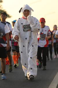 BIB: 6125, 7023
                            <button type="button" onclick="openModal(6512340)" class="btn btn-primary btn-sm float-right btn-popup" data-toggle="modal" data-target=".modal-high-quality">
                        <i class="fas fa-shopping-cart"></i> Add to Cart
                    </button>
                                            <button type="button" onclick="isThisMe(6512340, true)" class="btn btn-success btn-sm float-right btn-popup btn-isme hidden" data-toggle="tooltip" data-placement="bottom" title="นี่คือรูปของคุณใช่ไหม คลิกที่นี่เพื่อเอาเข้าอัลบั้ม">
                        <i class="fas fa-plus"></i> Add to album
                    </button>
                    <button type="button" onclick="isThisMe(6512340, false)" class="btn btn-warning btn-sm float-right btn-popup btn-isnotme hidden">
                        <i class="fas fa-ban"></i> Remove from album
                    </button>