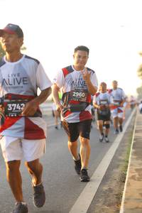 BIB: 2960, 3742
                            <button type="button" onclick="openModal(6497640)" class="btn btn-primary btn-sm float-right btn-popup" data-toggle="modal" data-target=".modal-high-quality">
                        <i class="fas fa-shopping-cart"></i> Add to Cart
                    </button>
                                            <button type="button" onclick="isThisMe(6497640, true)" class="btn btn-success btn-sm float-right btn-popup btn-isme hidden" data-toggle="tooltip" data-placement="bottom" title="นี่คือรูปของคุณใช่ไหม คลิกที่นี่เพื่อเอาเข้าอัลบั้ม">
                        <i class="fas fa-plus"></i> Add to album
                    </button>
                    <button type="button" onclick="isThisMe(6497640, false)" class="btn btn-warning btn-sm float-right btn-popup btn-isnotme hidden">
                        <i class="fas fa-ban"></i> Remove from album
                    </button>