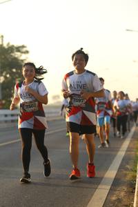 BIB: 7097, 7502
                            <button type="button" onclick="openModal(6518639)" class="btn btn-primary btn-sm float-right btn-popup" data-toggle="modal" data-target=".modal-high-quality">
                        <i class="fas fa-shopping-cart"></i> Add to Cart
                    </button>
                                            <button type="button" onclick="isThisMe(6518639, true)" class="btn btn-success btn-sm float-right btn-popup btn-isme hidden" data-toggle="tooltip" data-placement="bottom" title="นี่คือรูปของคุณใช่ไหม คลิกที่นี่เพื่อเอาเข้าอัลบั้ม">
                        <i class="fas fa-plus"></i> Add to album
                    </button>
                    <button type="button" onclick="isThisMe(6518639, false)" class="btn btn-warning btn-sm float-right btn-popup btn-isnotme hidden">
                        <i class="fas fa-ban"></i> Remove from album
                    </button>