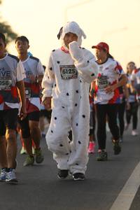 BIB: 956, 6125, 7023
                            <button type="button" onclick="openModal(6512333)" class="btn btn-primary btn-sm float-right btn-popup" data-toggle="modal" data-target=".modal-high-quality">
                        <i class="fas fa-shopping-cart"></i> Add to Cart
                    </button>
                                            <button type="button" onclick="isThisMe(6512333, true)" class="btn btn-success btn-sm float-right btn-popup btn-isme hidden" data-toggle="tooltip" data-placement="bottom" title="นี่คือรูปของคุณใช่ไหม คลิกที่นี่เพื่อเอาเข้าอัลบั้ม">
                        <i class="fas fa-plus"></i> Add to album
                    </button>
                    <button type="button" onclick="isThisMe(6512333, false)" class="btn btn-warning btn-sm float-right btn-popup btn-isnotme hidden">
                        <i class="fas fa-ban"></i> Remove from album
                    </button>