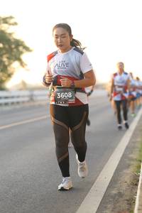 BIB: 3608
                            <button type="button" onclick="openModal(6505669)" class="btn btn-primary btn-sm float-right btn-popup" data-toggle="modal" data-target=".modal-high-quality">
                        <i class="fas fa-shopping-cart"></i> Add to Cart
                    </button>
                                            <button type="button" onclick="isThisMe(6505669, true)" class="btn btn-success btn-sm float-right btn-popup btn-isme hidden" data-toggle="tooltip" data-placement="bottom" title="นี่คือรูปของคุณใช่ไหม คลิกที่นี่เพื่อเอาเข้าอัลบั้ม">
                        <i class="fas fa-plus"></i> Add to album
                    </button>
                    <button type="button" onclick="isThisMe(6505669, false)" class="btn btn-warning btn-sm float-right btn-popup btn-isnotme hidden">
                        <i class="fas fa-ban"></i> Remove from album
                    </button>