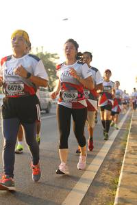 BIB: 6678, 3139, 7853
                            <button type="button" onclick="openModal(6516496)" class="btn btn-primary btn-sm float-right btn-popup" data-toggle="modal" data-target=".modal-high-quality">
                        <i class="fas fa-shopping-cart"></i> Add to Cart
                    </button>
                                            <button type="button" onclick="isThisMe(6516496, true)" class="btn btn-success btn-sm float-right btn-popup btn-isme hidden" data-toggle="tooltip" data-placement="bottom" title="นี่คือรูปของคุณใช่ไหม คลิกที่นี่เพื่อเอาเข้าอัลบั้ม">
                        <i class="fas fa-plus"></i> Add to album
                    </button>
                    <button type="button" onclick="isThisMe(6516496, false)" class="btn btn-warning btn-sm float-right btn-popup btn-isnotme hidden">
                        <i class="fas fa-ban"></i> Remove from album
                    </button>