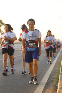 BIB: 2160, 2637
                            <button type="button" onclick="openModal(6510333)" class="btn btn-primary btn-sm float-right btn-popup" data-toggle="modal" data-target=".modal-high-quality">
                        <i class="fas fa-shopping-cart"></i> Add to Cart
                    </button>
                                            <button type="button" onclick="isThisMe(6510333, true)" class="btn btn-success btn-sm float-right btn-popup btn-isme hidden" data-toggle="tooltip" data-placement="bottom" title="นี่คือรูปของคุณใช่ไหม คลิกที่นี่เพื่อเอาเข้าอัลบั้ม">
                        <i class="fas fa-plus"></i> Add to album
                    </button>
                    <button type="button" onclick="isThisMe(6510333, false)" class="btn btn-warning btn-sm float-right btn-popup btn-isnotme hidden">
                        <i class="fas fa-ban"></i> Remove from album
                    </button>