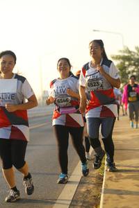 BIB: 6523, 6546
                            <button type="button" onclick="openModal(6411300)" class="btn btn-primary btn-sm float-right btn-popup" data-toggle="modal" data-target=".modal-high-quality">
                        <i class="fas fa-shopping-cart"></i> Add to Cart
                    </button>
                                            <button type="button" onclick="isThisMe(6411300, true)" class="btn btn-success btn-sm float-right btn-popup btn-isme hidden" data-toggle="tooltip" data-placement="bottom" title="นี่คือรูปของคุณใช่ไหม คลิกที่นี่เพื่อเอาเข้าอัลบั้ม">
                        <i class="fas fa-plus"></i> Add to album
                    </button>
                    <button type="button" onclick="isThisMe(6411300, false)" class="btn btn-warning btn-sm float-right btn-popup btn-isnotme hidden">
                        <i class="fas fa-ban"></i> Remove from album
                    </button>