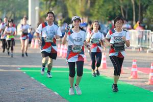 BIB: 7105, 6401, 7219, 6399
                            <button type="button" onclick="openModal(6502015)" class="btn btn-primary btn-sm float-right btn-popup" data-toggle="modal" data-target=".modal-high-quality">
                        <i class="fas fa-shopping-cart"></i> Add to Cart
                    </button>
                                            <button type="button" onclick="isThisMe(6502015, true)" class="btn btn-success btn-sm float-right btn-popup btn-isme hidden" data-toggle="tooltip" data-placement="bottom" title="นี่คือรูปของคุณใช่ไหม คลิกที่นี่เพื่อเอาเข้าอัลบั้ม">
                        <i class="fas fa-plus"></i> Add to album
                    </button>
                    <button type="button" onclick="isThisMe(6502015, false)" class="btn btn-warning btn-sm float-right btn-popup btn-isnotme hidden">
                        <i class="fas fa-ban"></i> Remove from album
                    </button>