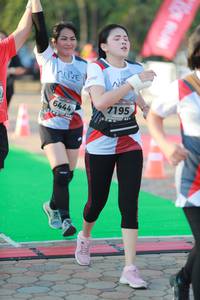 BIB: 7195, 6444
                            <button type="button" onclick="openModal(6501994)" class="btn btn-primary btn-sm float-right btn-popup" data-toggle="modal" data-target=".modal-high-quality">
                        <i class="fas fa-shopping-cart"></i> Add to Cart
                    </button>
                                            <button type="button" onclick="isThisMe(6501994, true)" class="btn btn-success btn-sm float-right btn-popup btn-isme hidden" data-toggle="tooltip" data-placement="bottom" title="นี่คือรูปของคุณใช่ไหม คลิกที่นี่เพื่อเอาเข้าอัลบั้ม">
                        <i class="fas fa-plus"></i> Add to album
                    </button>
                    <button type="button" onclick="isThisMe(6501994, false)" class="btn btn-warning btn-sm float-right btn-popup btn-isnotme hidden">
                        <i class="fas fa-ban"></i> Remove from album
                    </button>