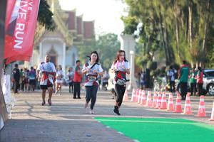 BIB: 7424
                            <button type="button" onclick="openModal(6502318)" class="btn btn-primary btn-sm float-right btn-popup" data-toggle="modal" data-target=".modal-high-quality">
                        <i class="fas fa-shopping-cart"></i> Add to Cart
                    </button>
                                            <button type="button" onclick="isThisMe(6502318, true)" class="btn btn-success btn-sm float-right btn-popup btn-isme hidden" data-toggle="tooltip" data-placement="bottom" title="นี่คือรูปของคุณใช่ไหม คลิกที่นี่เพื่อเอาเข้าอัลบั้ม">
                        <i class="fas fa-plus"></i> Add to album
                    </button>
                    <button type="button" onclick="isThisMe(6502318, false)" class="btn btn-warning btn-sm float-right btn-popup btn-isnotme hidden">
                        <i class="fas fa-ban"></i> Remove from album
                    </button>