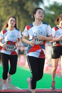 BIB: 7147
                            <button type="button" onclick="openModal(6502242)" class="btn btn-primary btn-sm float-right btn-popup" data-toggle="modal" data-target=".modal-high-quality">
                        <i class="fas fa-shopping-cart"></i> Add to Cart
                    </button>
                                            <button type="button" onclick="isThisMe(6502242, true)" class="btn btn-success btn-sm float-right btn-popup btn-isme hidden" data-toggle="tooltip" data-placement="bottom" title="นี่คือรูปของคุณใช่ไหม คลิกที่นี่เพื่อเอาเข้าอัลบั้ม">
                        <i class="fas fa-plus"></i> Add to album
                    </button>
                    <button type="button" onclick="isThisMe(6502242, false)" class="btn btn-warning btn-sm float-right btn-popup btn-isnotme hidden">
                        <i class="fas fa-ban"></i> Remove from album
                    </button>