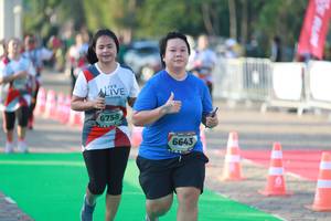 BIB: 6758, 6643
                            <button type="button" onclick="openModal(6502851)" class="btn btn-primary btn-sm float-right btn-popup" data-toggle="modal" data-target=".modal-high-quality">
                        <i class="fas fa-shopping-cart"></i> Add to Cart
                    </button>
                                            <button type="button" onclick="isThisMe(6502851, true)" class="btn btn-success btn-sm float-right btn-popup btn-isme hidden" data-toggle="tooltip" data-placement="bottom" title="นี่คือรูปของคุณใช่ไหม คลิกที่นี่เพื่อเอาเข้าอัลบั้ม">
                        <i class="fas fa-plus"></i> Add to album
                    </button>
                    <button type="button" onclick="isThisMe(6502851, false)" class="btn btn-warning btn-sm float-right btn-popup btn-isnotme hidden">
                        <i class="fas fa-ban"></i> Remove from album
                    </button>