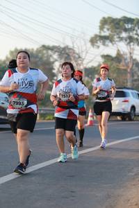 BIB: 7161, 7512, 7993
                            <button type="button" onclick="openModal(6449649)" class="btn btn-primary btn-sm float-right btn-popup" data-toggle="modal" data-target=".modal-high-quality">
                        <i class="fas fa-shopping-cart"></i> Add to Cart
                    </button>
                                            <button type="button" onclick="isThisMe(6449649, true)" class="btn btn-success btn-sm float-right btn-popup btn-isme hidden" data-toggle="tooltip" data-placement="bottom" title="นี่คือรูปของคุณใช่ไหม คลิกที่นี่เพื่อเอาเข้าอัลบั้ม">
                        <i class="fas fa-plus"></i> Add to album
                    </button>
                    <button type="button" onclick="isThisMe(6449649, false)" class="btn btn-warning btn-sm float-right btn-popup btn-isnotme hidden">
                        <i class="fas fa-ban"></i> Remove from album
                    </button>